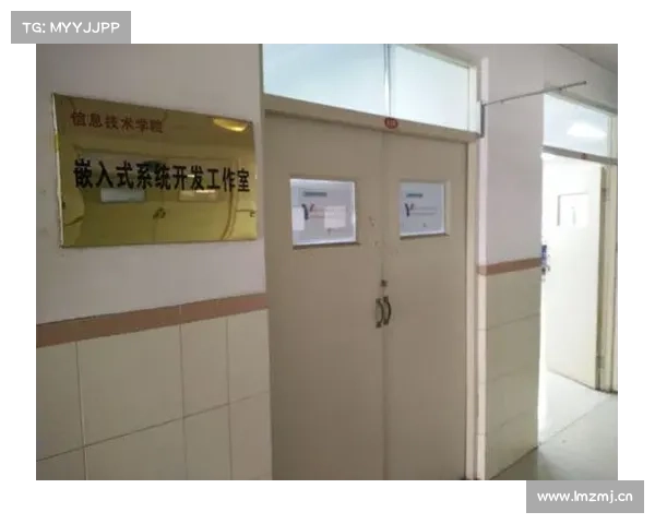 校园体育场馆多功能智能拉力绳系统嵌入式训练空间创新设计与应用研究 校园体育场馆多功能智能拉力绳系统嵌入式训练空间创新设计与应用研究