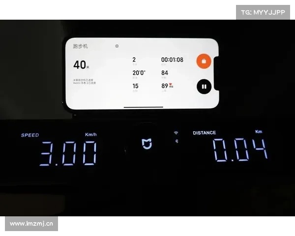 智能跑步机速度变频对青少年肥胖人群代谢消耗差异的实验研究 智能跑步机速度变频对青少年肥胖人群代谢消耗差异的实验研究